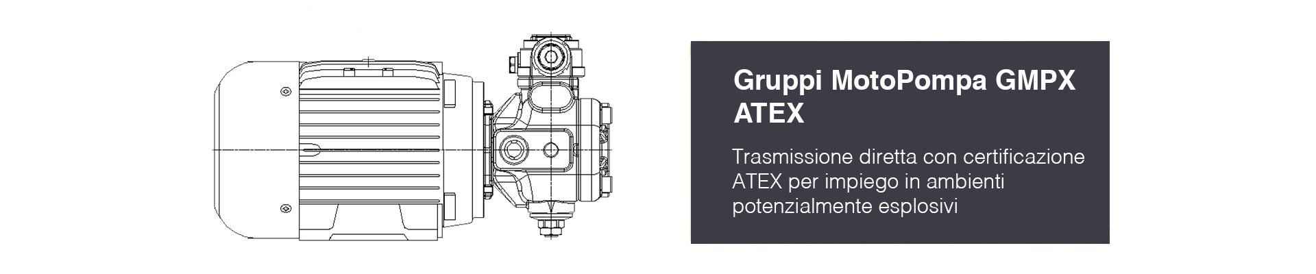 motopompa-gmp-atex