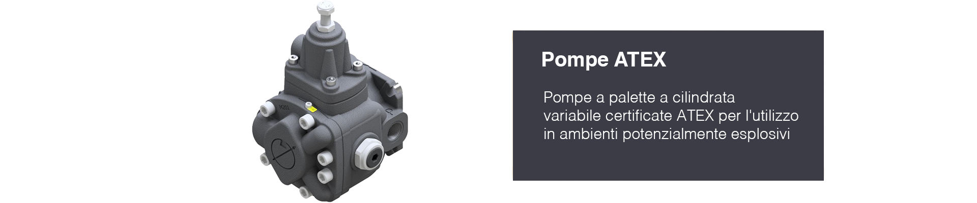 pompe-atex-berarma