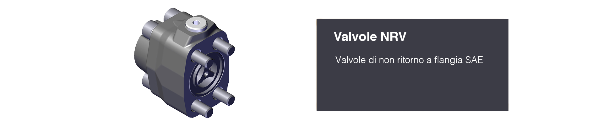 valvole-nrv-berarma